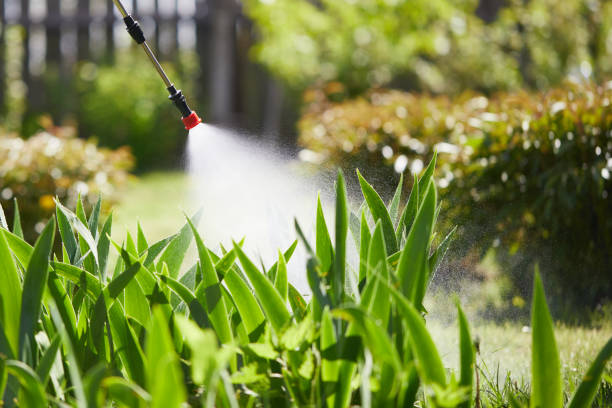 Tamper-Resistant Bait Stations for Rodents in Woodville
